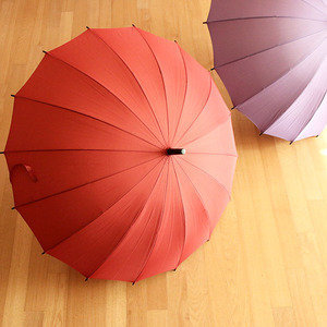 (일본) 이토 사쿠라 16본 장우산 (2color)