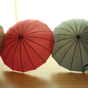 (일본) 에뜨와르 16본 도트 장우산 55cm