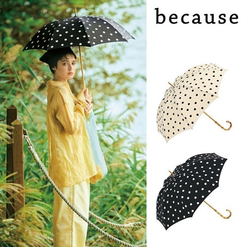 일본 수입 Because 우산 양산 장우산 도트 47cm 3컬러